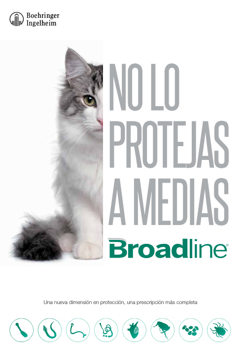 Broadline | Boehringer Ingelheim