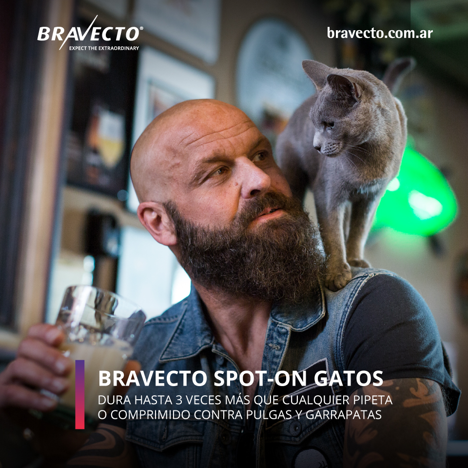 Lanzamiento Bravecto Spot-on Gatos